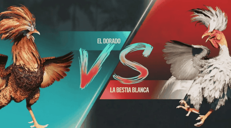 wwccbet Cassino Jogos download